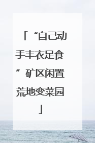 “自己动手丰衣足食”矿区闲置荒地变菜园